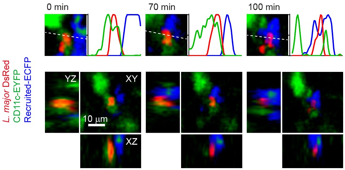 Abbildung Thema Nische
