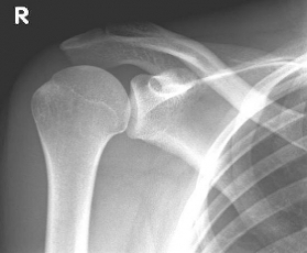 Abbildung1 Abbildung1